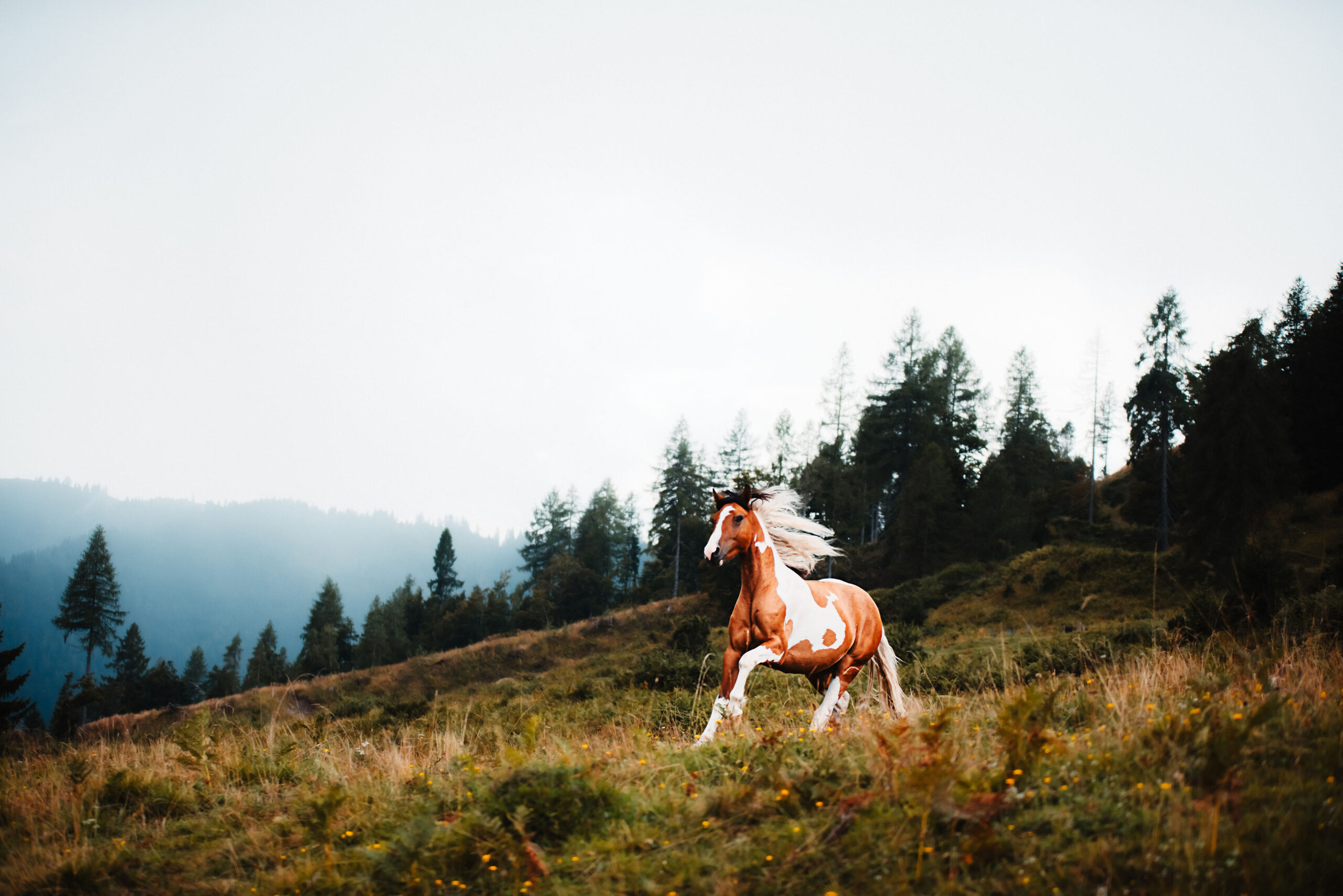 DSC_0328-BearbeitetKopie